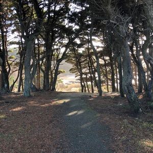 Meet your Posher, Sheena